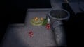 A resting Startle Spore, some Spotcaps, and some sticky mold.